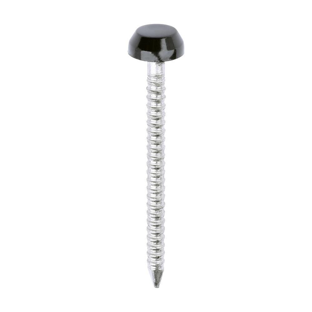 Poly Top Pins; Black (BK); 2.1 x 30mm; A4 Stainless Steel; Box (250)